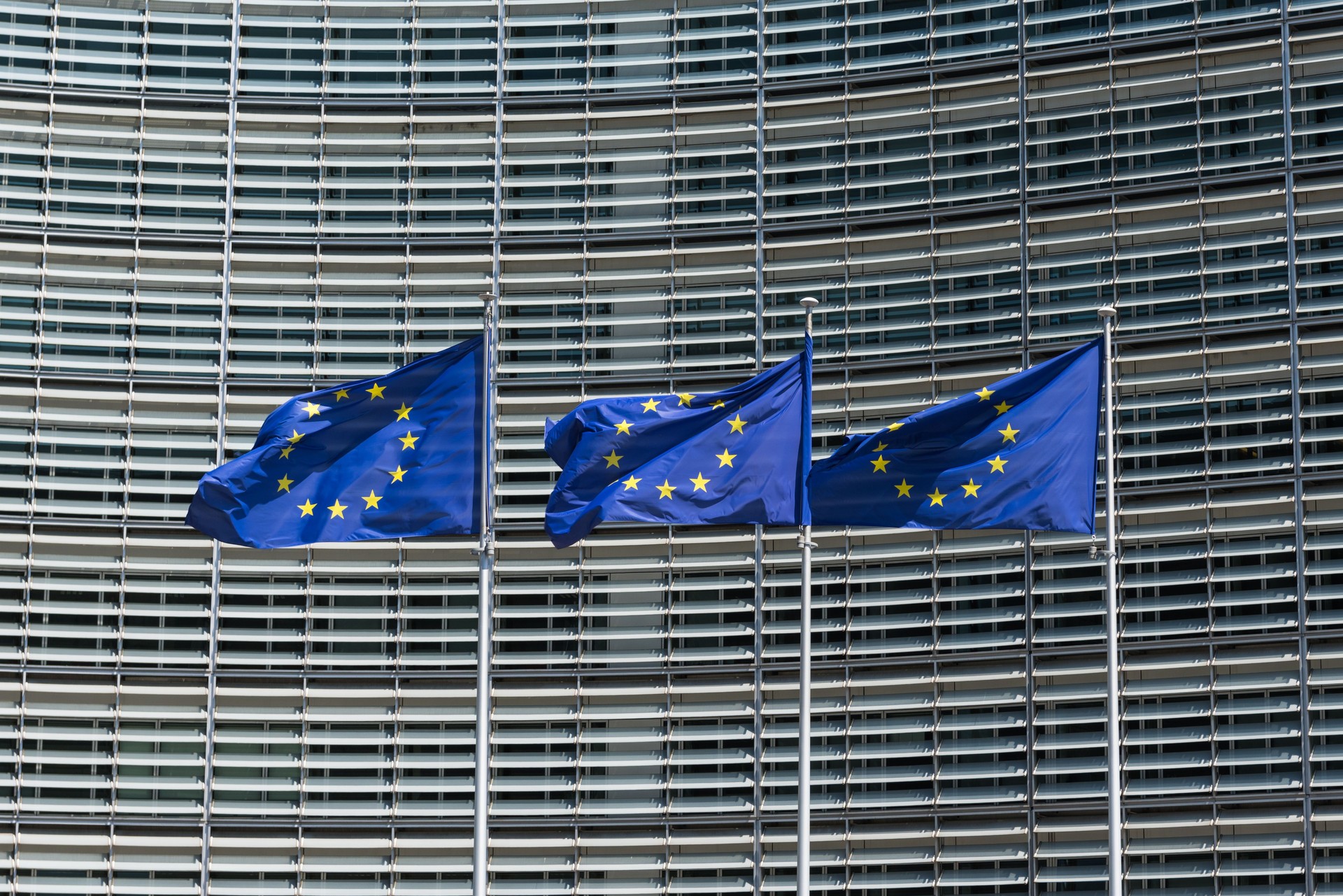 Fluttering European Union flags in a row in Brussels, Belgium. Close up